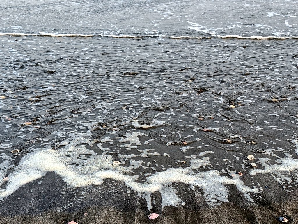 peace.lamplight tweet media