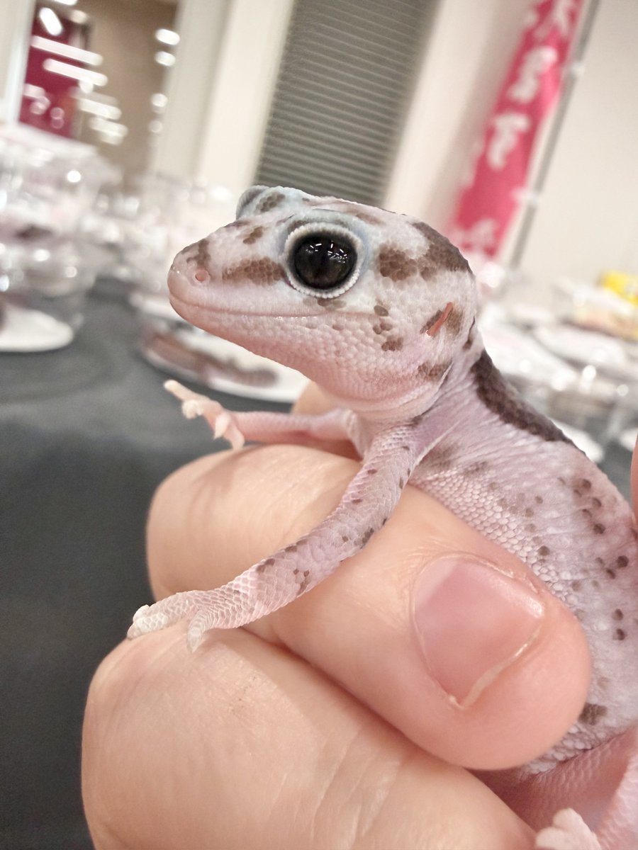 のの💌 tweet media