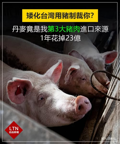 自由時報 tweet media