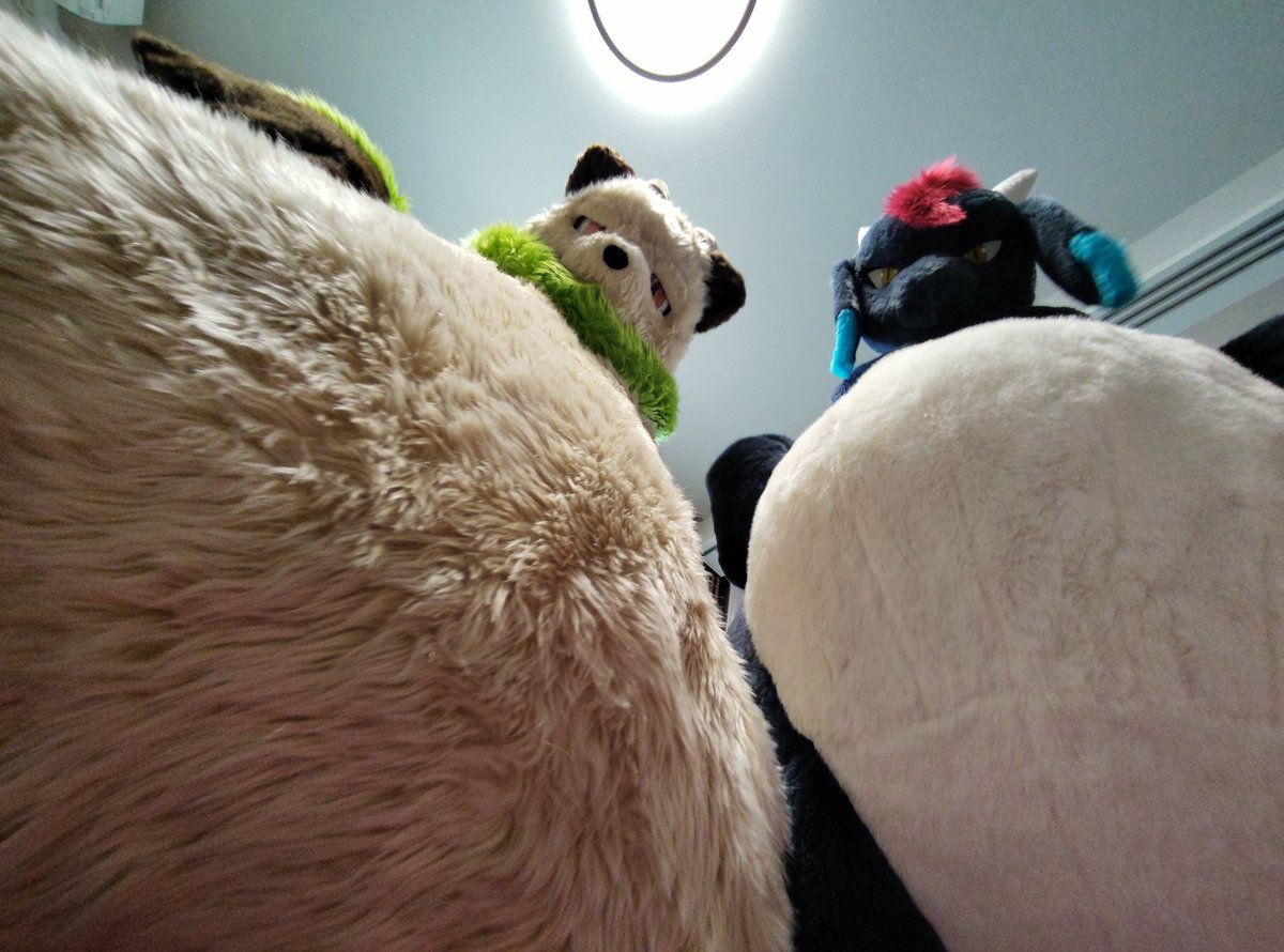 ふらみぃ tweet media