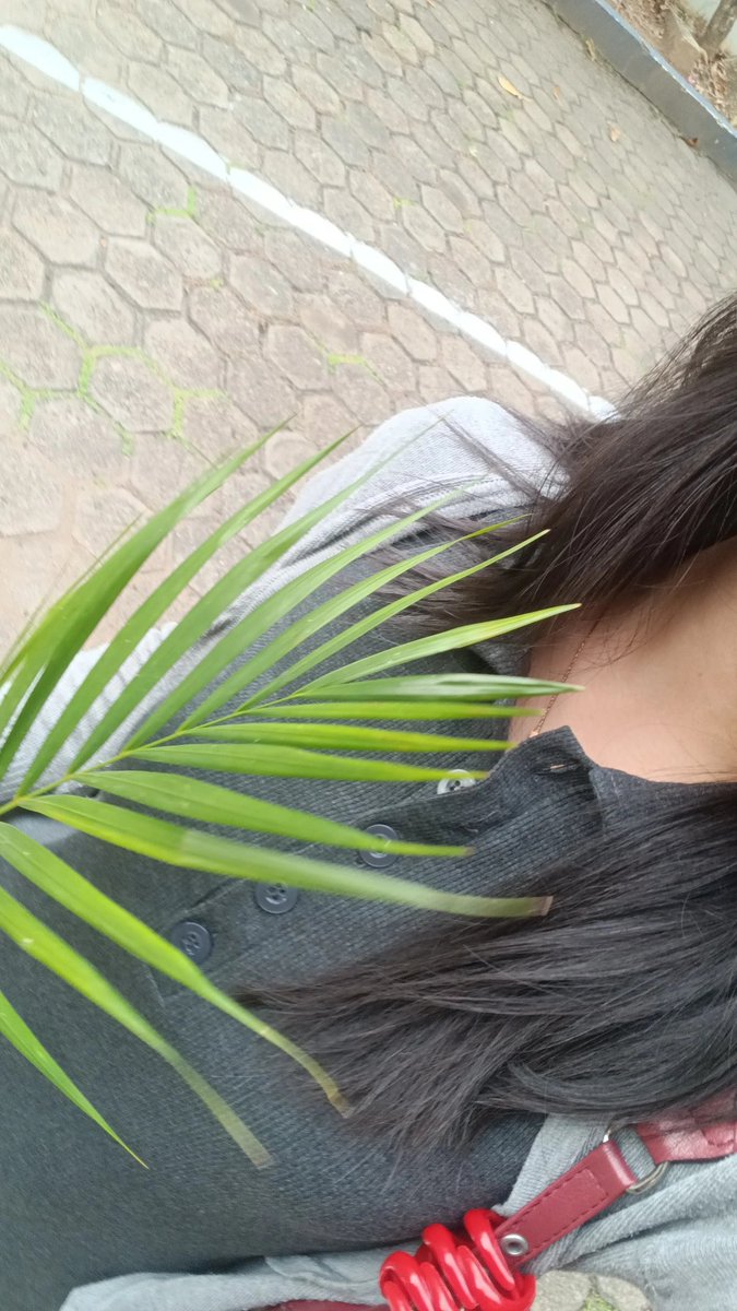 graceanna tweet media