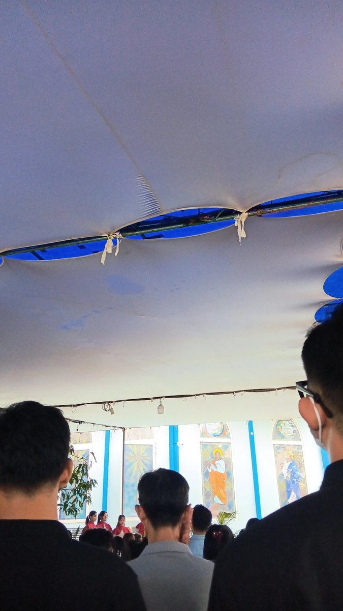 graceanna tweet media