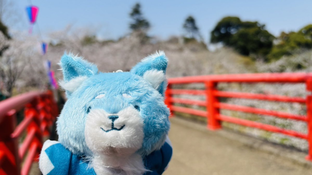 さえどん tweet media