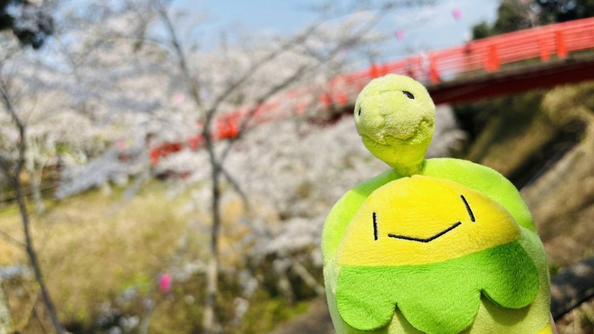 さえどん tweet media