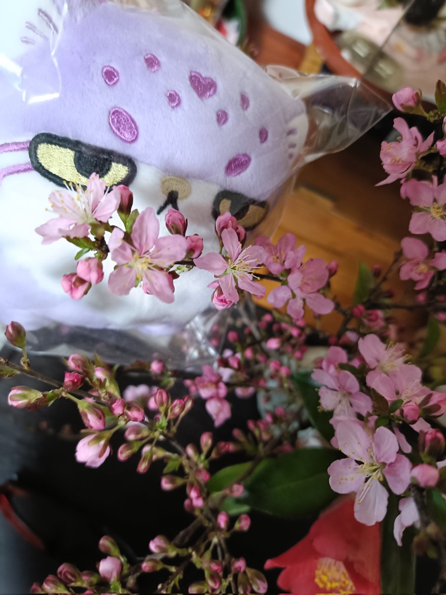 自然大好き tweet media