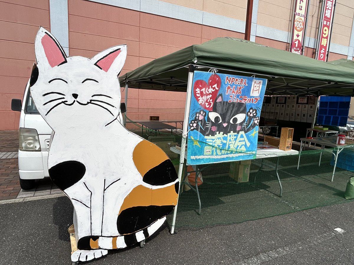今日は保護猫譲渡会

丹波ゆめタウン