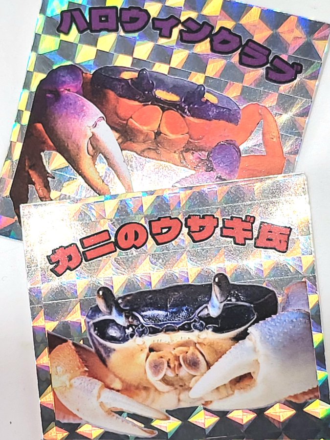 licoyas (リコヤス) tweet media