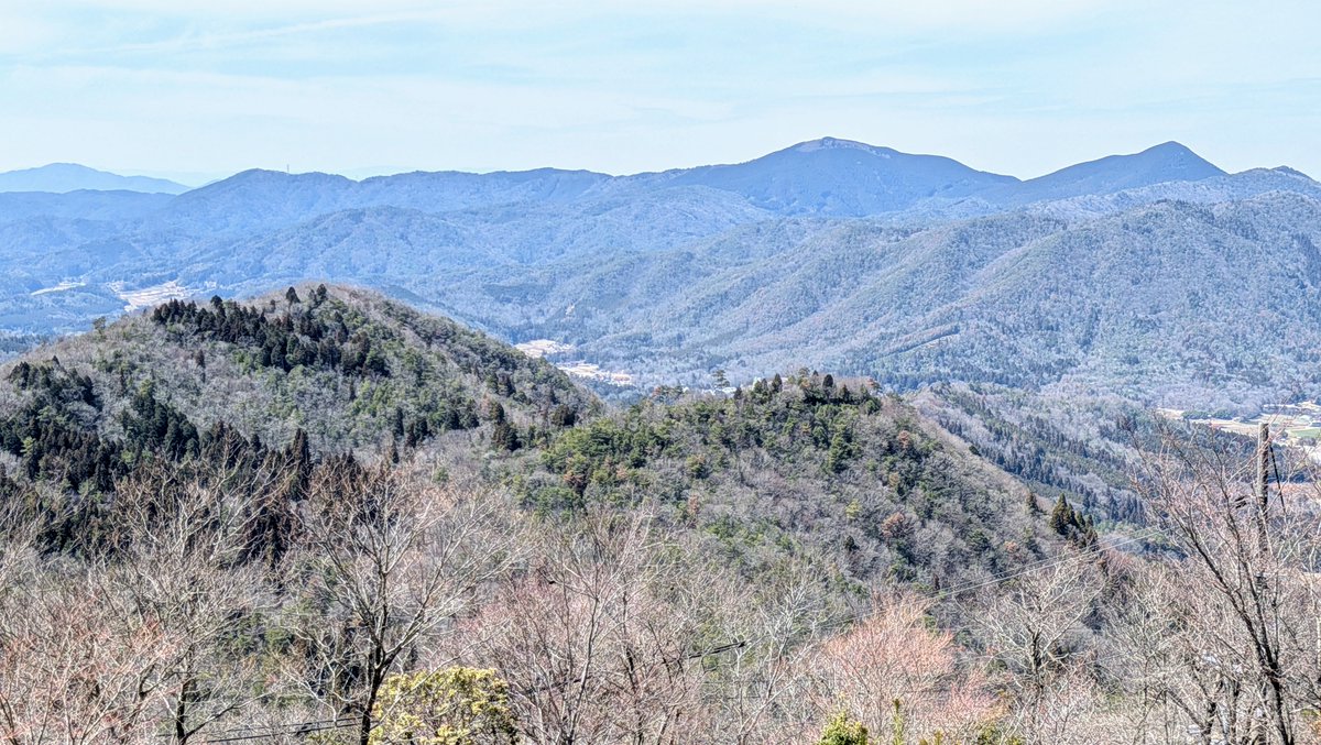 こうち(Kouchi) tweet media