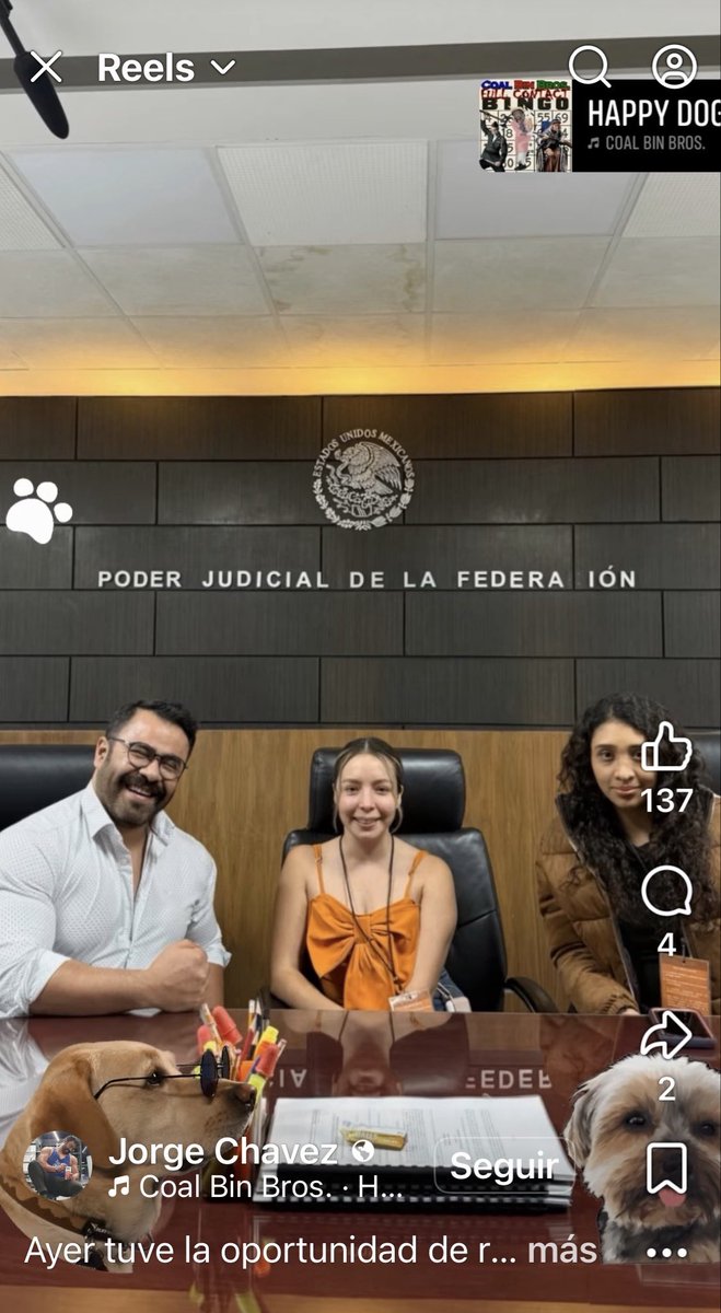 Secretario de Colegiado tweet media