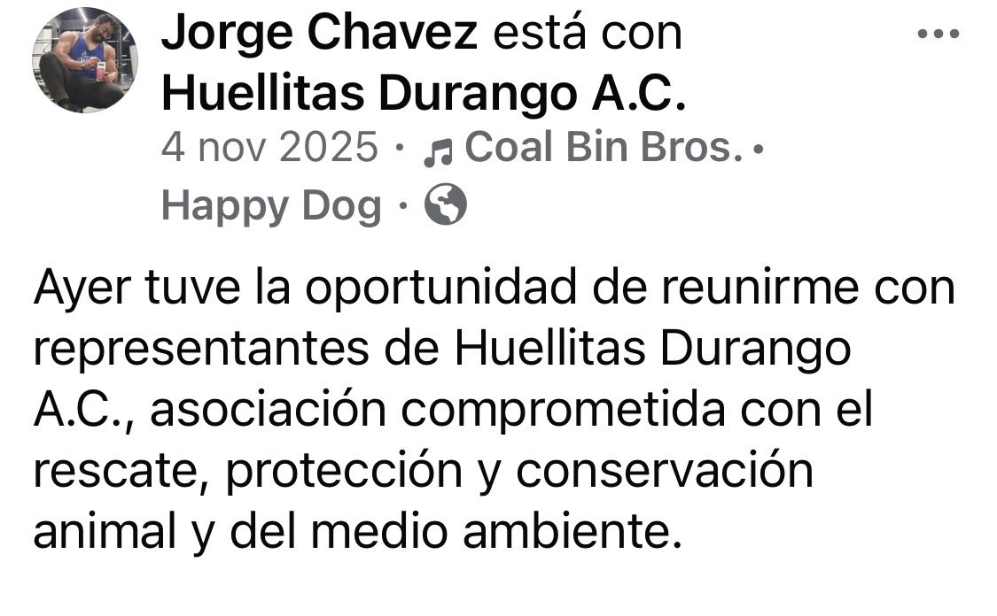 Secretario de Colegiado tweet media