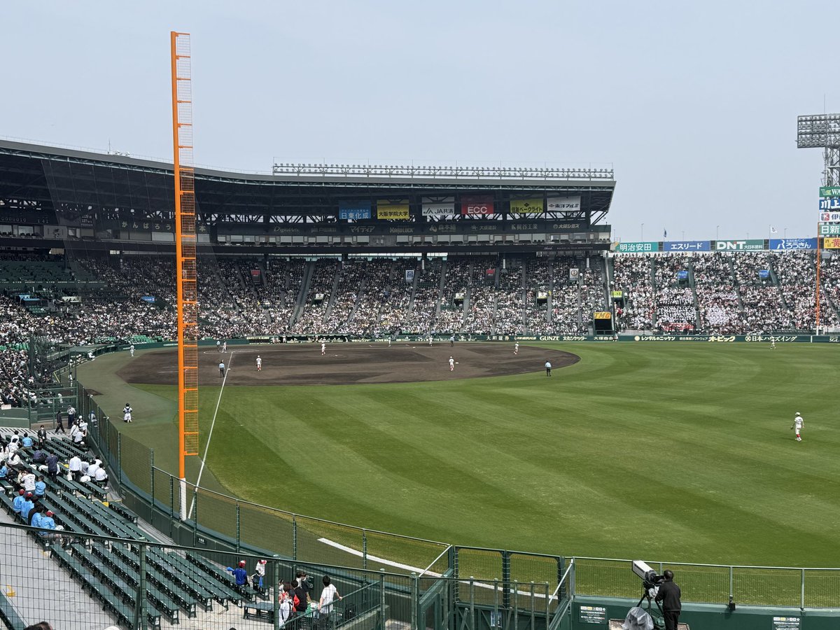 今日は高校野球観戦
ええ試合しとるわ！