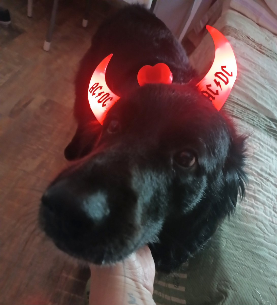 𝘴𝘰𝘧𝘪🪐 tweet media