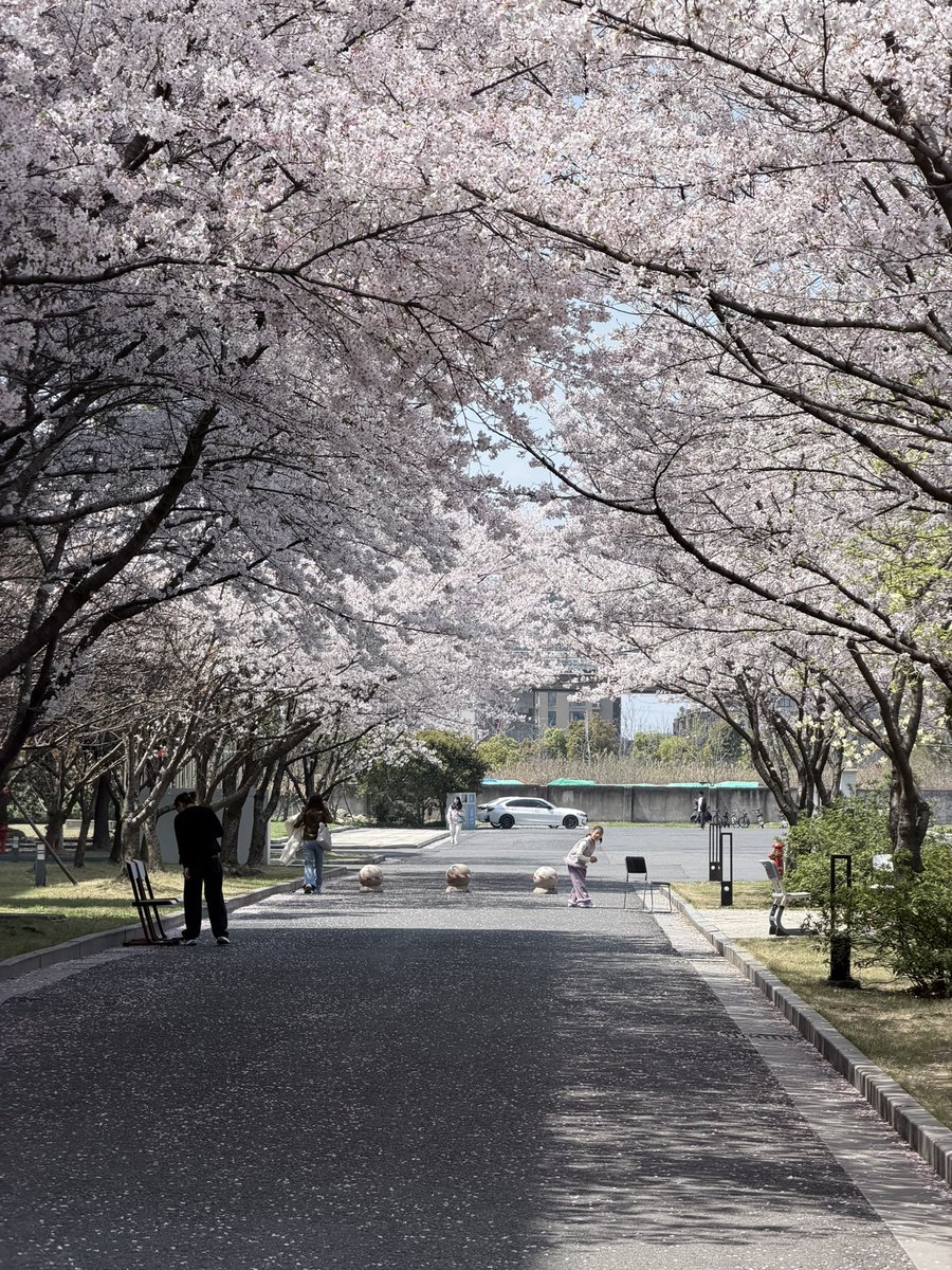 みぞれのオーボエ tweet media