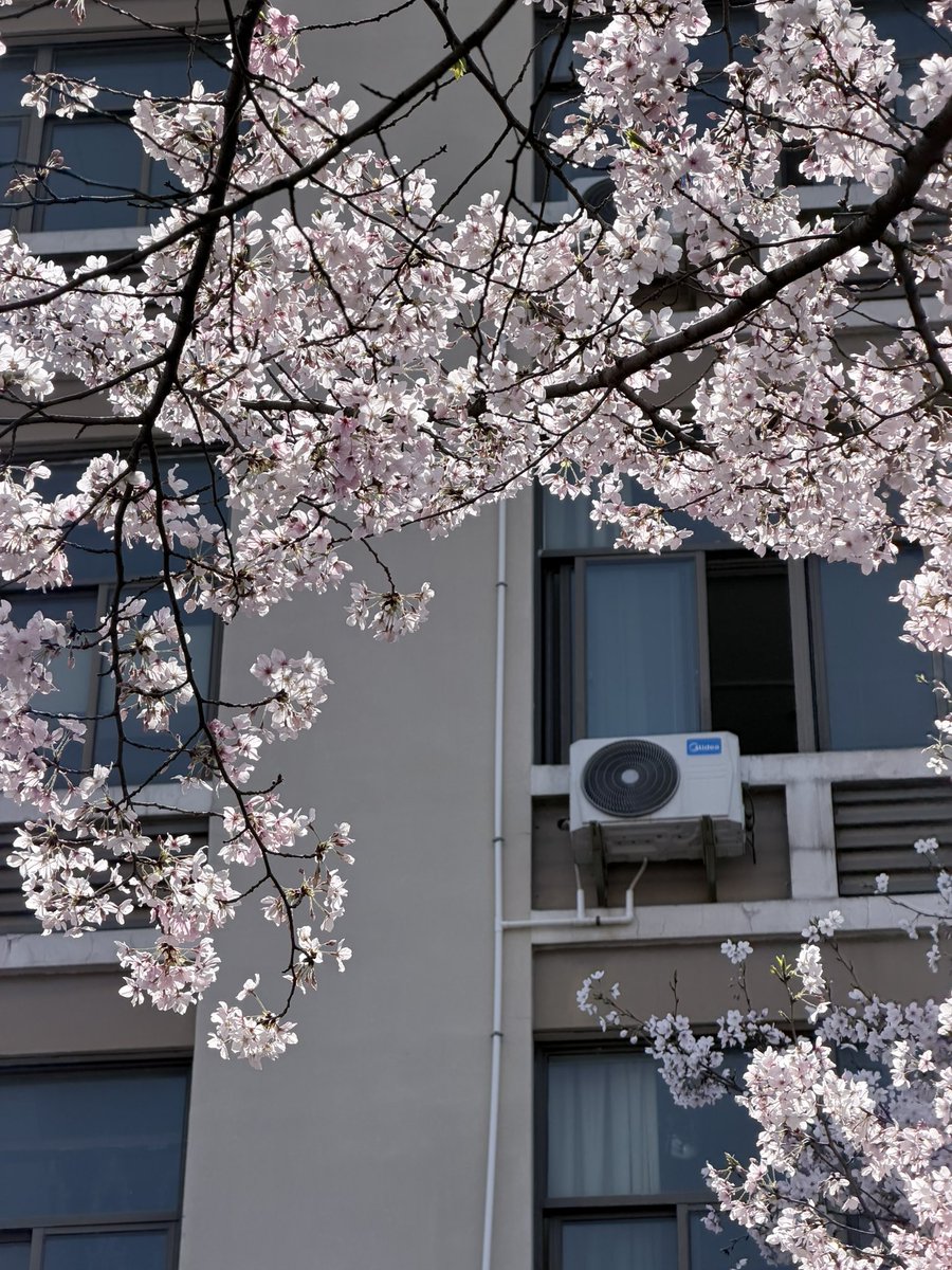 みぞれのオーボエ tweet media