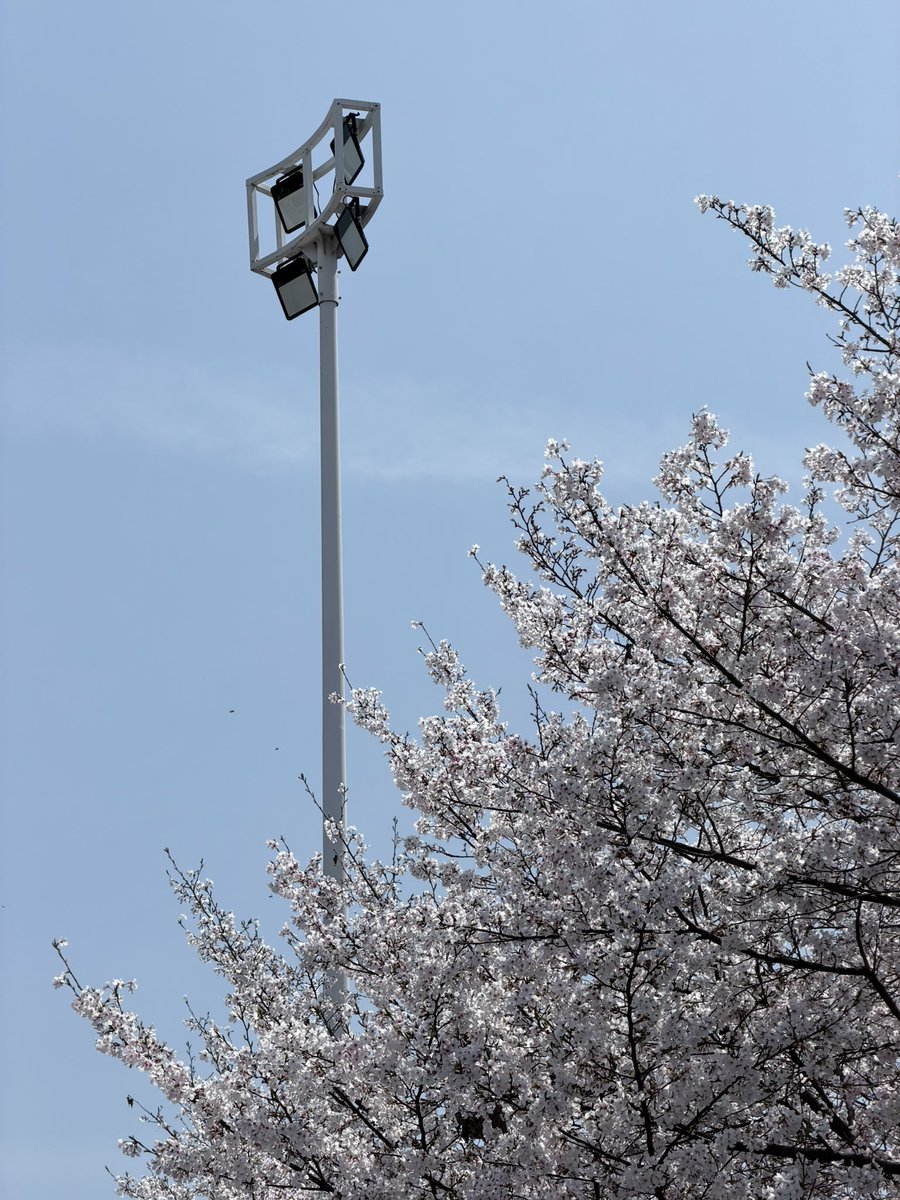 みぞれのオーボエ tweet media