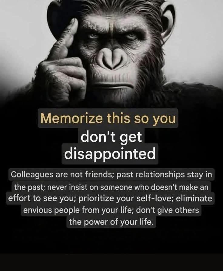 Thrive Tribe tweet media