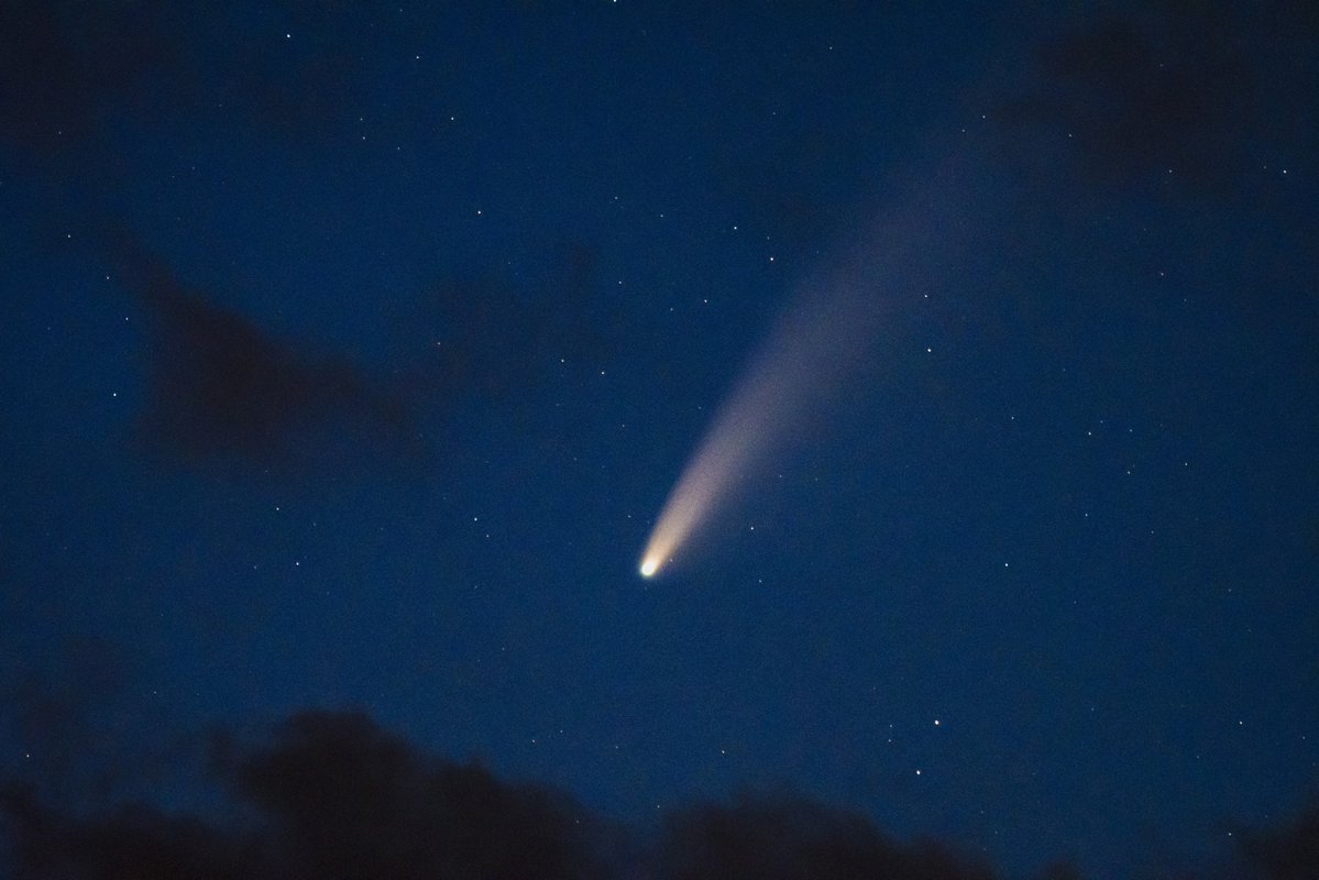 Kevin Giambertone tweet media