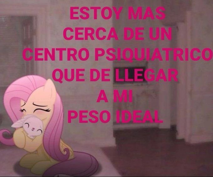 Fersita :3 tweet media