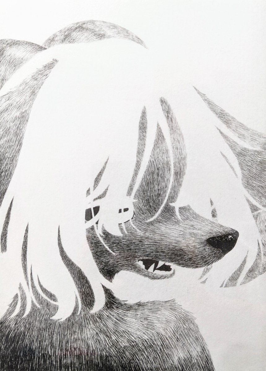 𝚁𝚒𝚌𝚔_𝙱 @関けもA-18 tweet media