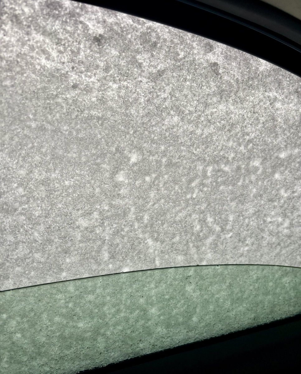 えふちこ tweet media