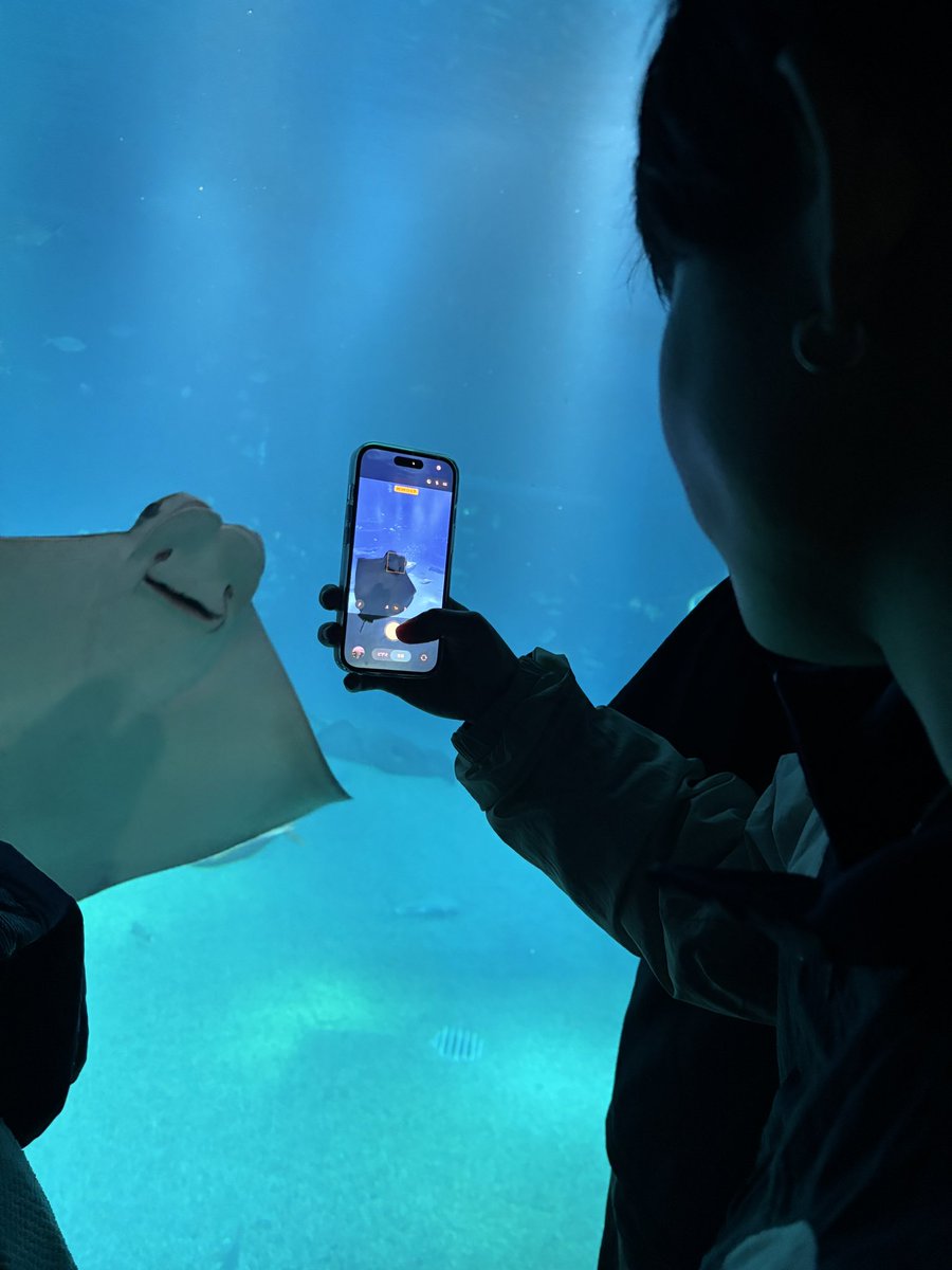 ᴋᴜʀᴏ ©︎🔰【めりあ】 tweet media