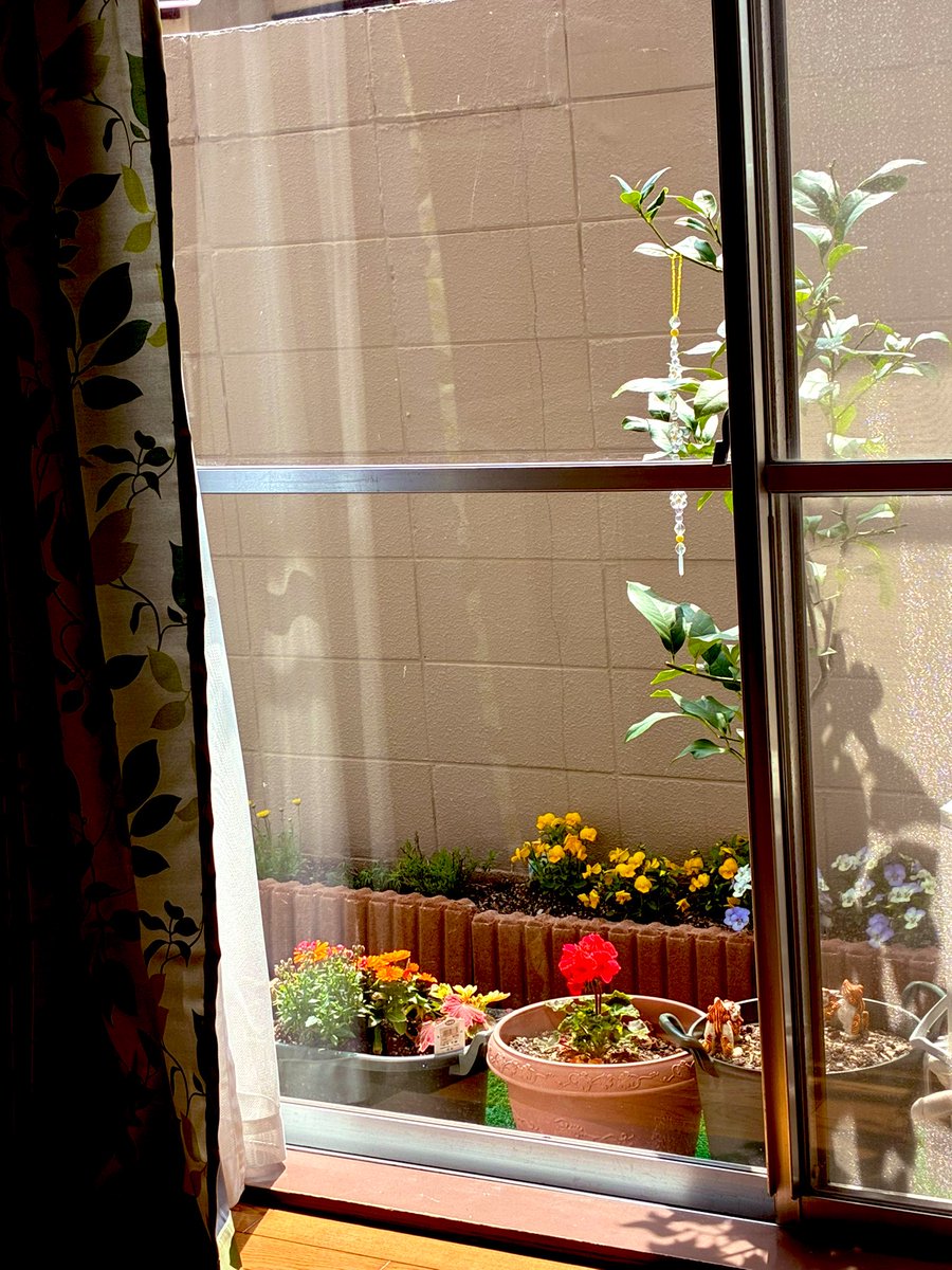 リカ＠大阪のおばちゃんライダー tweet media