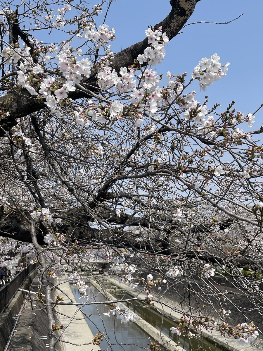 Boris@FF14_Atomos tweet media