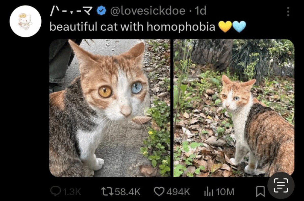 🥀 🖤𝔏𝔦𝔟𝔢𝔯𝔱𝔞𝔯𝔦𝔞𝔫 𝔊𝔬𝔱𝔥🖤🥀 tweet media