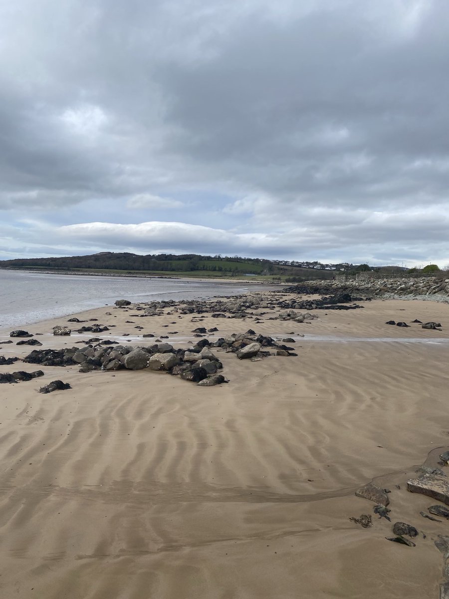 Michael Killoran tweet media