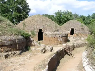 Tom COALtguitas tweet media