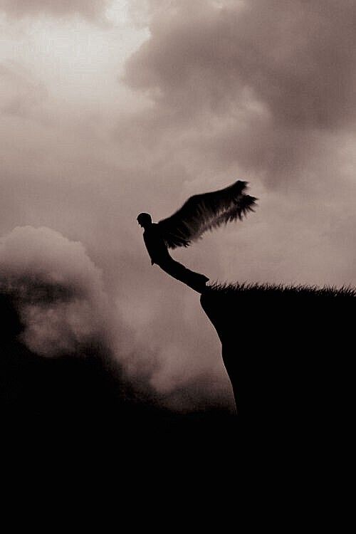 الناسك tweet media