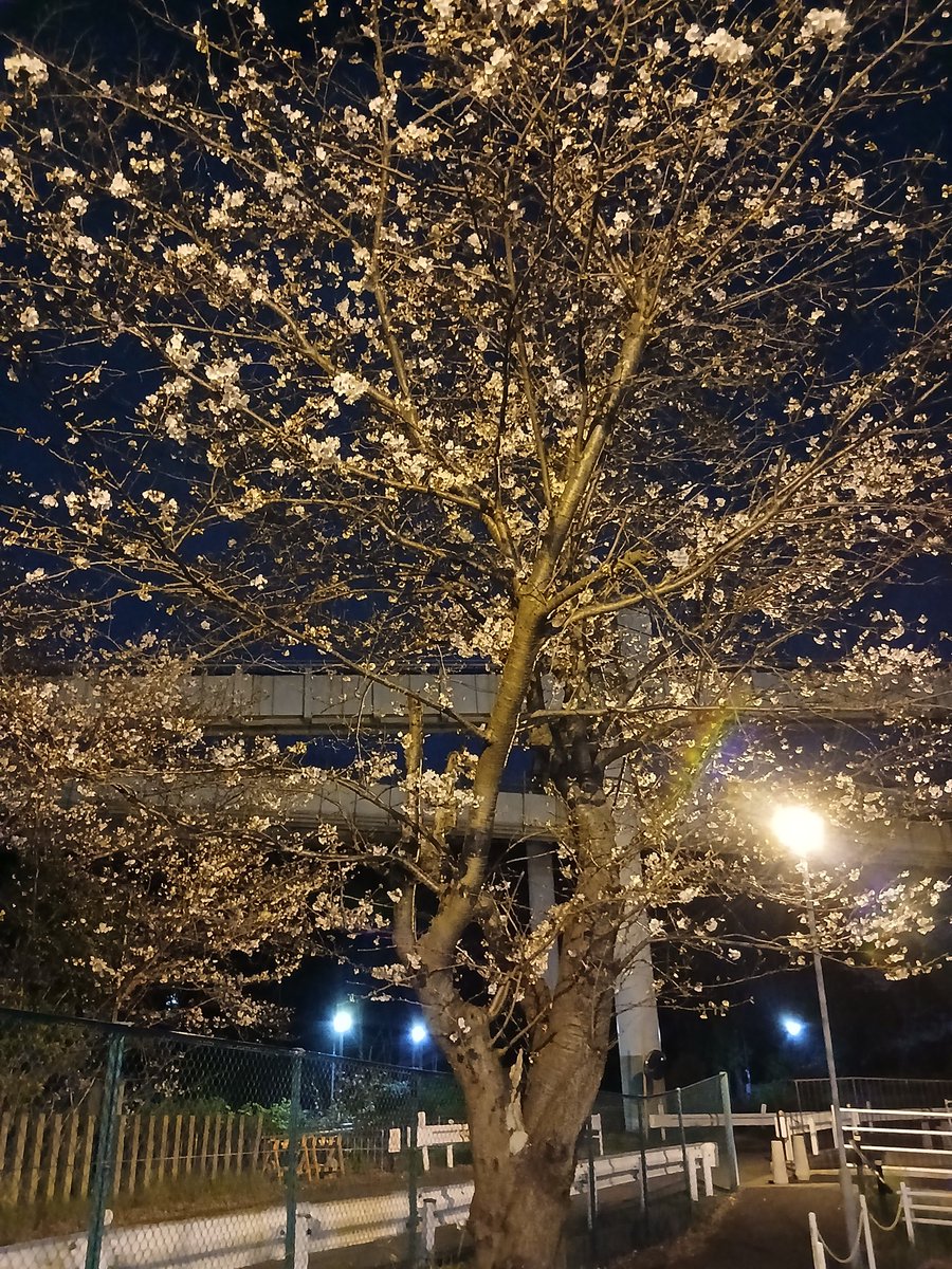 モノちゃん@千葉モノレール tweet media