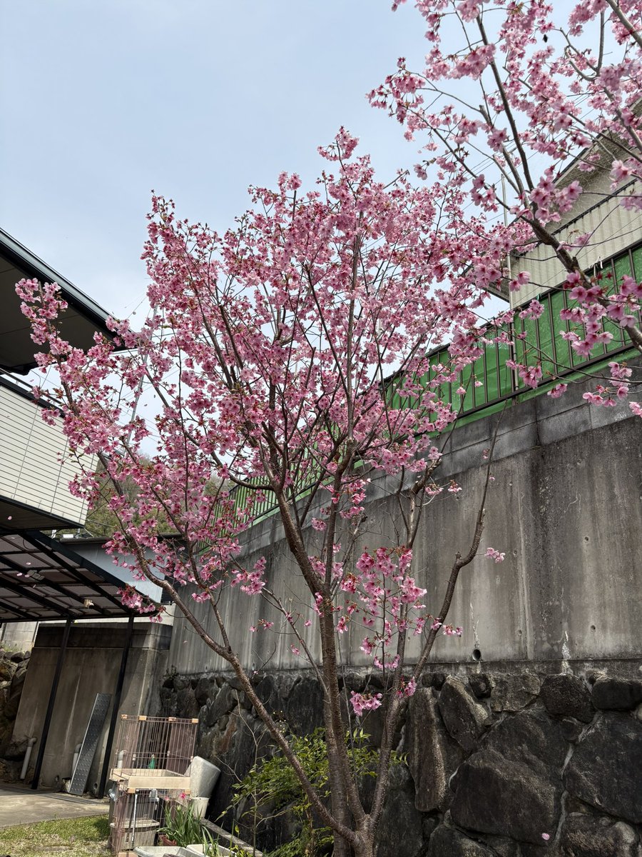 イシキリIN104/JQ3AYT tweet media