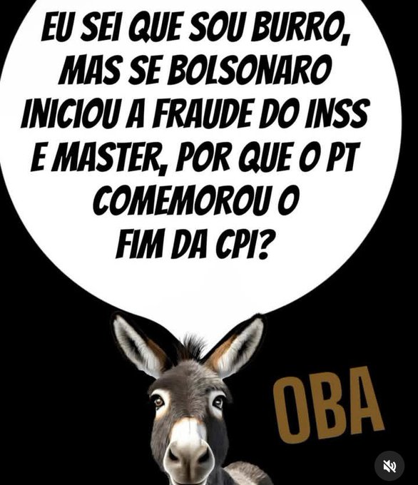 MARIA D S CAMBEIRO tweet media