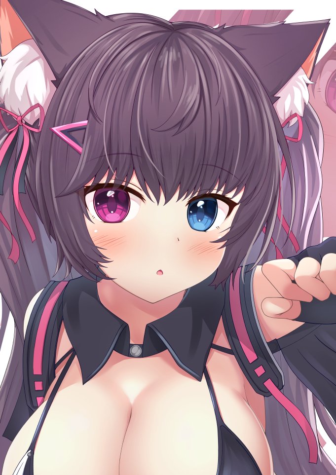 ❄️雪月ユキ❄️ tweet media