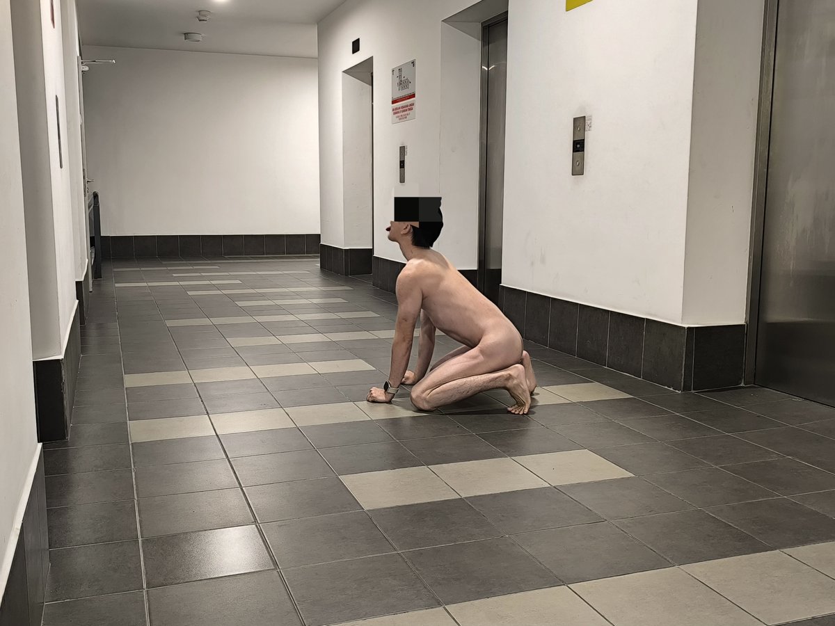 Locked Slave Sub tweet media