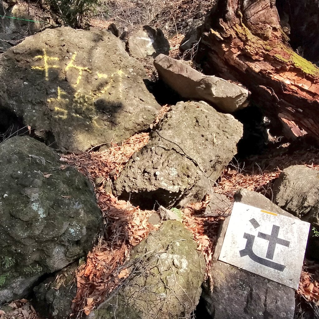 かっちゃん tweet media