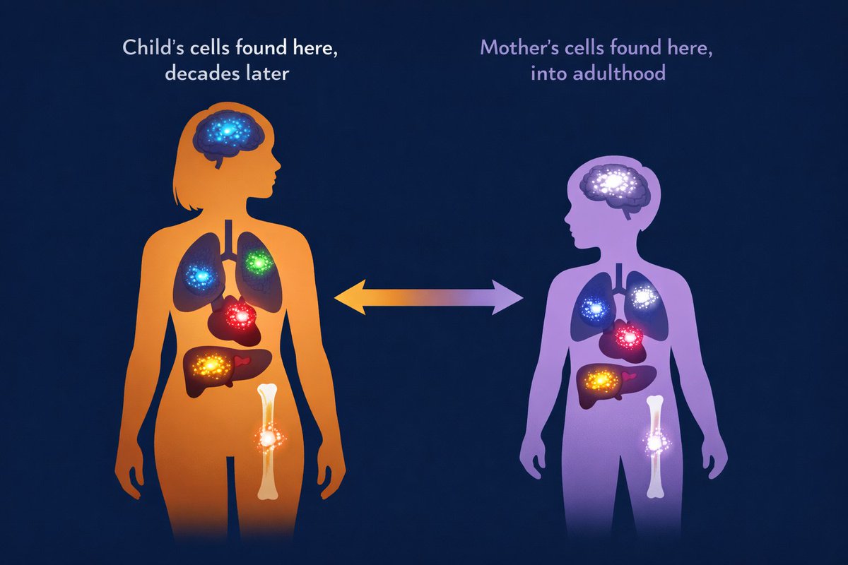 Chronos Intelligence tweet media