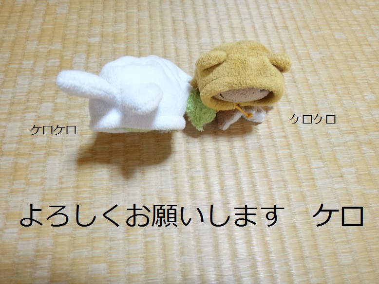 ･:＊｡😵‍💫ケロ（MAX）😵‍💫･｡:＊ tweet media