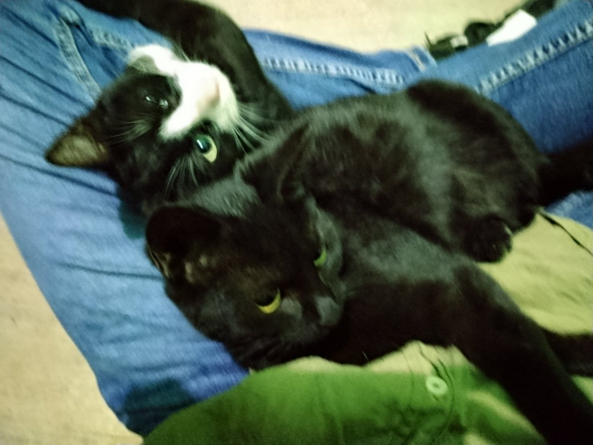 Fami🌾 tweet media