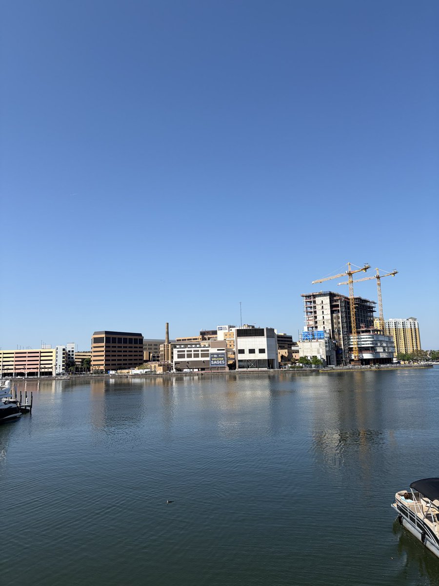 Chloe Nobuhara tweet media