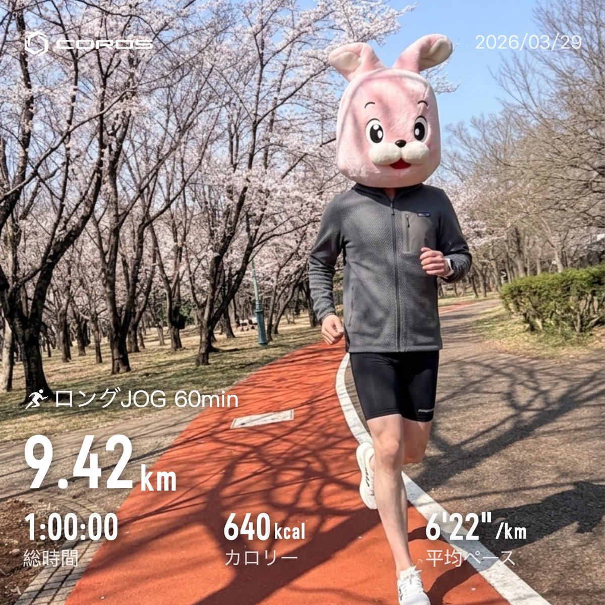サクラサク🌸
サクラサクサク🌸
サクラサク🌸

NIKE ストラクチャー26が最適解すぎた。実に残念、EVO SL履きたいんですー！