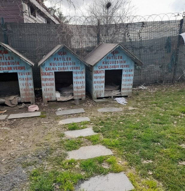 Güvenli Sokaklar tweet media