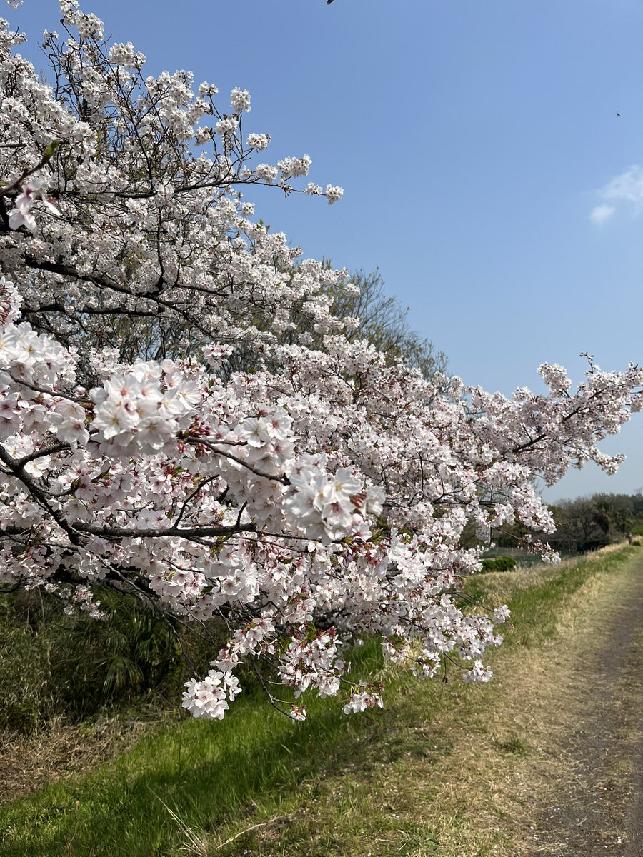 オデはち💫 tweet media