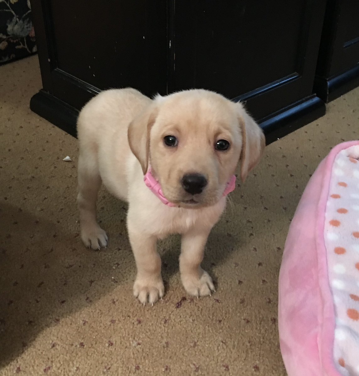 Jason Johnson tweet media