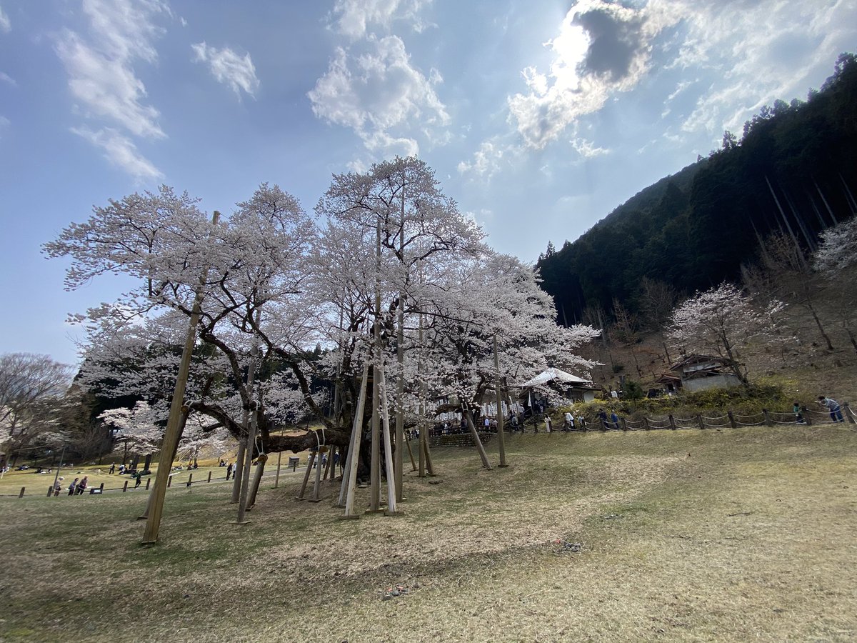 岐阜暴威 tweet media