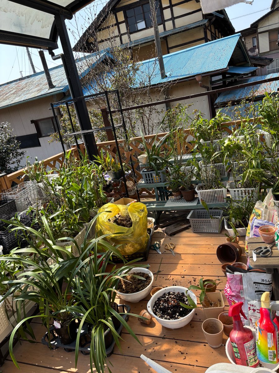 ゆっか tweet media