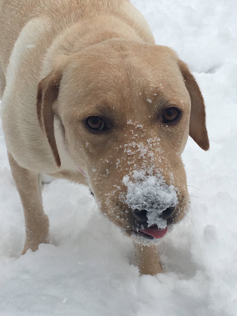 Jason Johnson tweet media