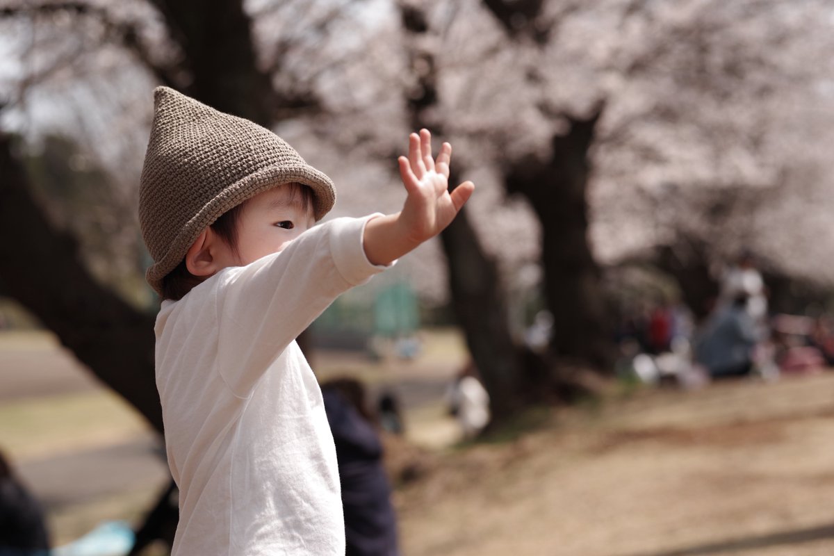 Yuzu.photograph tweet media