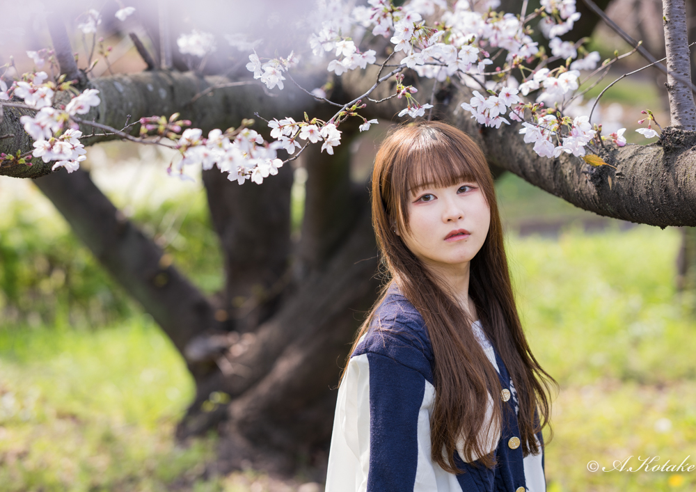 こたけ🍀 tweet media